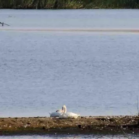 An Chuileann Beachside House Milltown Malbay